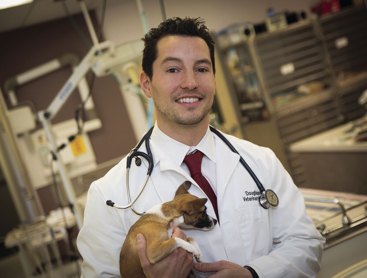 Pretty Litter Startup Hires Veterinarian-in-Chief